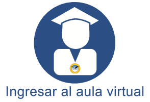 Aula Virtual Economía